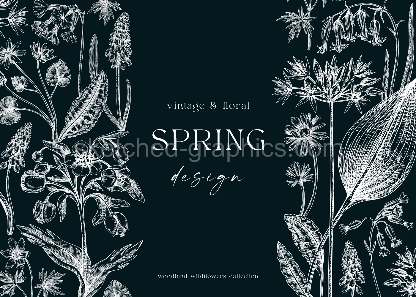 Vintage spring background. Hand drawn vector illustration. Floral frame on chalkboard. Woodland wild flower sketches. Wildflowers design template Illustration